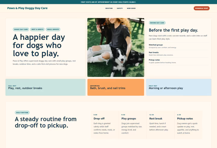 Paws and Play pet care sample with a dog photograph and visit booking